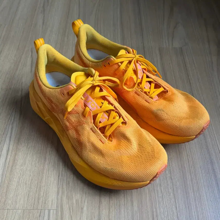 [BUNJANG] ASICS NovaBlast 5 Yamabuki Running Shoes (290mm) / 아식스 노바블라스트5 야마부키 안주 [290]
