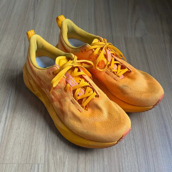 [BUNJANG] ASICS NovaBlast 5 Yamabuki Running Shoes (290mm) / 아식스 노바블라스트5 야마부키 안주 [290]