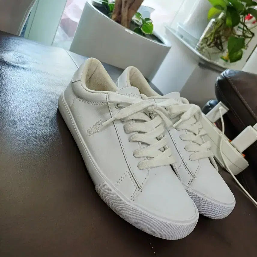 [BUNJANG] Polo Sneakers Shoes 235 / 폴로   스니커즈 운동화 235