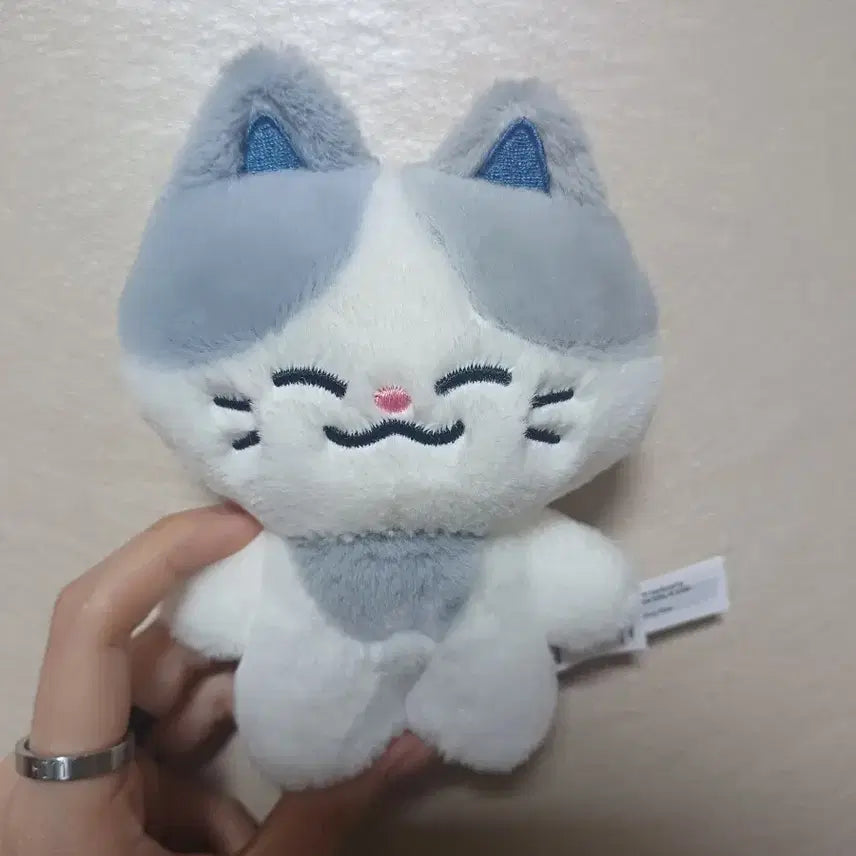 [BUNJANG] NCT DREAM Chenle RuMyeo Doll / 엔시티드림 천러 인형 러묘