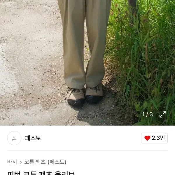 [BUNJANG] Pesto Pin-tuck Cotton Pants Olive / 페스토 핀턱 코튼 팬츠 올리브