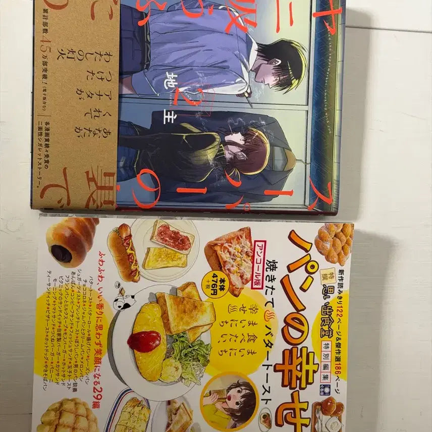 [BUNJANG] Japanese Black and White Manga Book / 일본 흑백 만화책