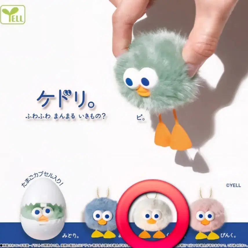 [BUNJANG] Kedori Plush Keychain White / (캡슐만 개봉/새상품) 대만 가챠 케도리 인형 키링 흰색