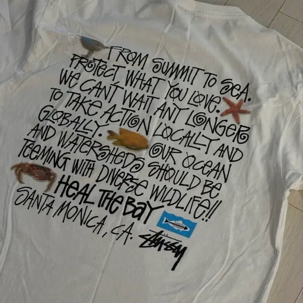 [BUNJANG] Stussy x Heal The Bay Collaboration T-Shirt (L) / 스투시 x 힐 더 베이 콜라보 반팔티 L