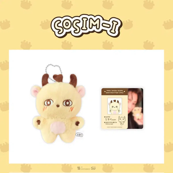 [BUNJANG] Park Ji Hoon Somsimi Doll / 현물 ㅇ 박지훈 소심이 인형 새상품