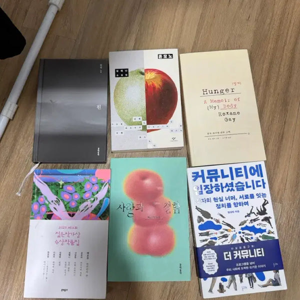 [BUNJANG] Roxan Gay Hunger / 록산게이 헝거