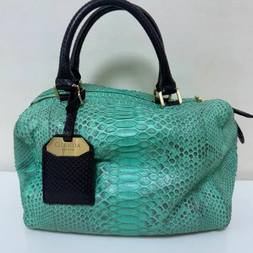 [BUNJANG] Glenda Bloom Mint Python Leather Tote Bag (Includes Dust Bag) / GLENDA BLOOM 리얼 뱀피 토트백(더스트백 포함)