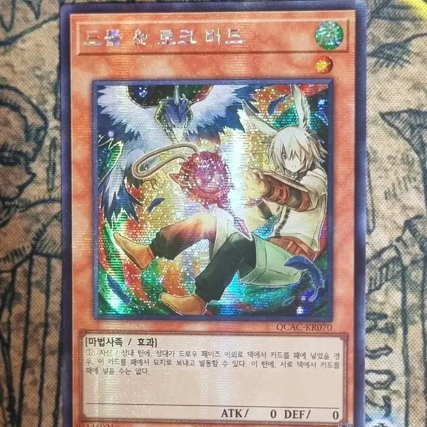 [BUNJANG] Yu-Gi-Oh! Droll & Lock Bird Alternate Art Secret Rare (QCAC-KR070) / 유희왕 드롤&로크버드 다른일러(QCAC-KR070)시크릿레어