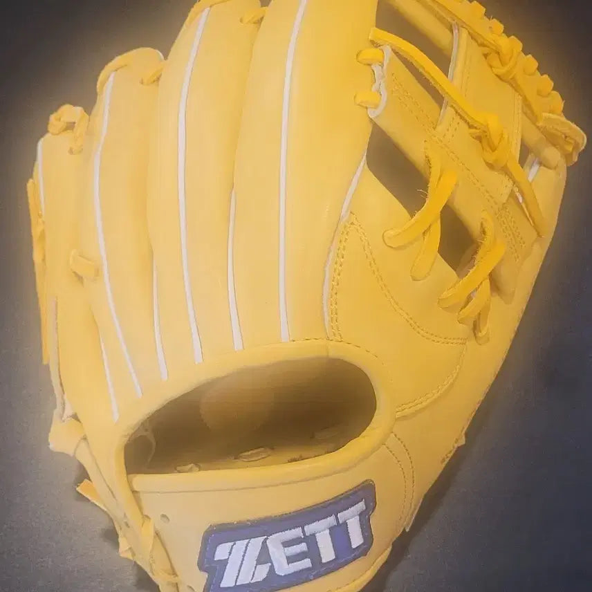 [BUNJANG] ZETT Inner Web Pro Model Baseball Glove / ZETT 내야용 아이웹  PRO 모델 신품팝니다.