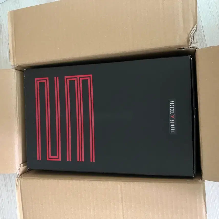 [BUNJANG] Air Jordan 11 Basketball Shoes / 조던 11 팝니다
