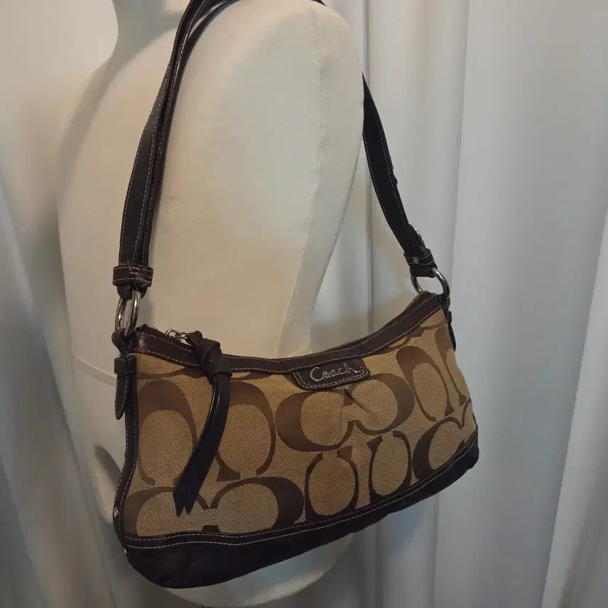 [BUNJANG] Coach Park Signature 2-Way Hobo Bag / y2k 올드 코치 파크 시그니처 2way 호보백
