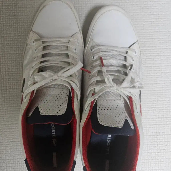 [BUNJANG] Lacoste White Sneakers / 라코스테 흰색 스니커즈 운동화