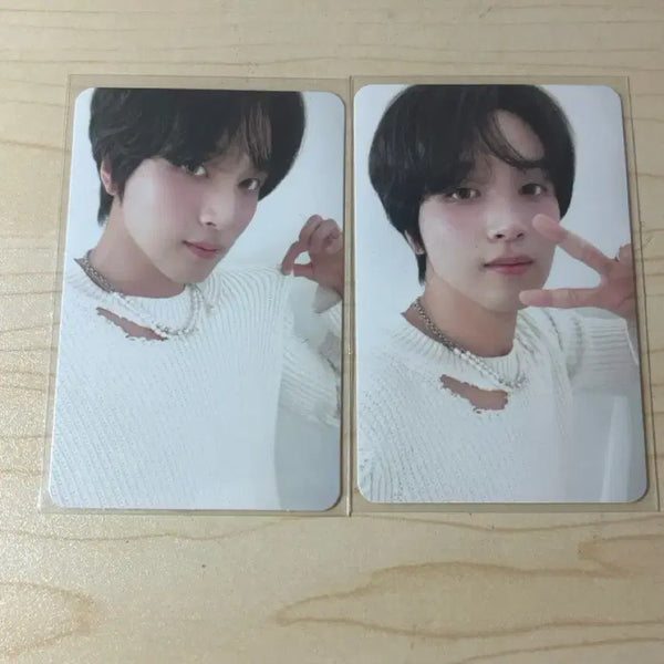 [BUNJANG] Seo Young Ho Bundle Set Photocard / 시그해찬 일괄양도