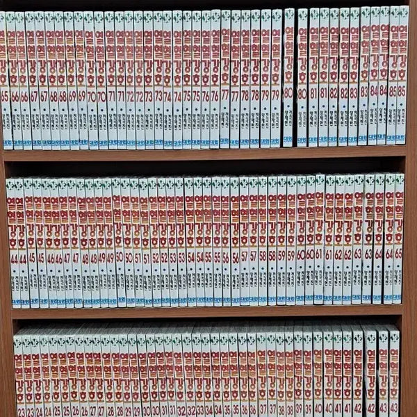 [BUNJANG] Yulhyulgangho (The Ruler of the Land) Complete Set (Volumes 1-95) Sealed / 열혈강호 1~95 미개봉 만화짱많아 안전프로상점매장
