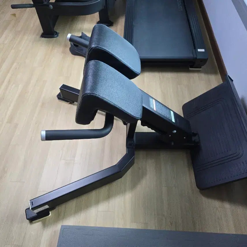 [BUNJANG] Roman Chair Back Extension Machine for Lumbar Strengthening / 로만체어 백익스텐션 허리 운동 기구
