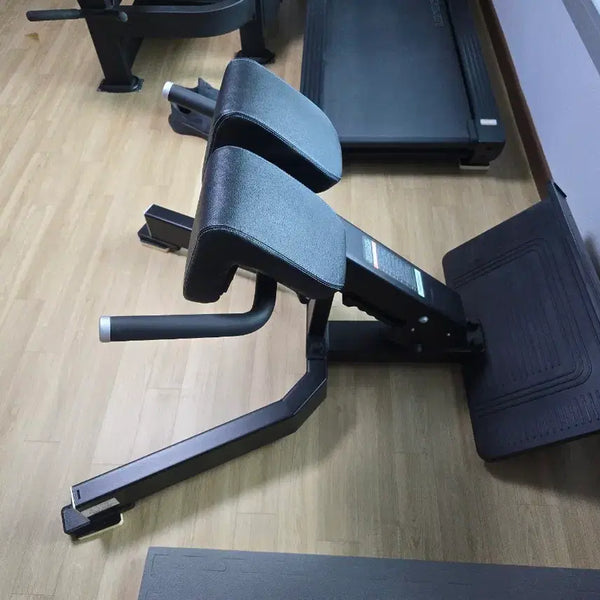 [BUNJANG] Roman Chair Back Extension Machine for Lumbar Strengthening / 로만체어 백익스텐션 허리 운동 기구