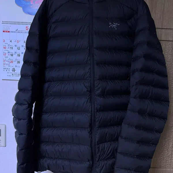 [BUNJANG] Arc'teryx Cerium Down Jacket XL / 아크테릭스 세륨