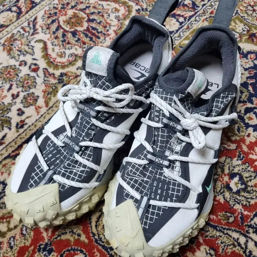 [BUNJANG] Nike Mountain Fly GTX Sneakers (265mm) / 나이키 마운틴플라이 265