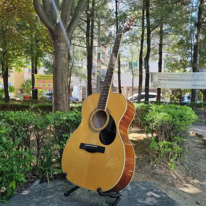 [BUNJANG] Greg Bennett GOM-100Spk OM Body Acoustic Guitar / 유명악기회사 탑솔리드 통기타 사이즈작은 om 바디 입문용 기타 판매