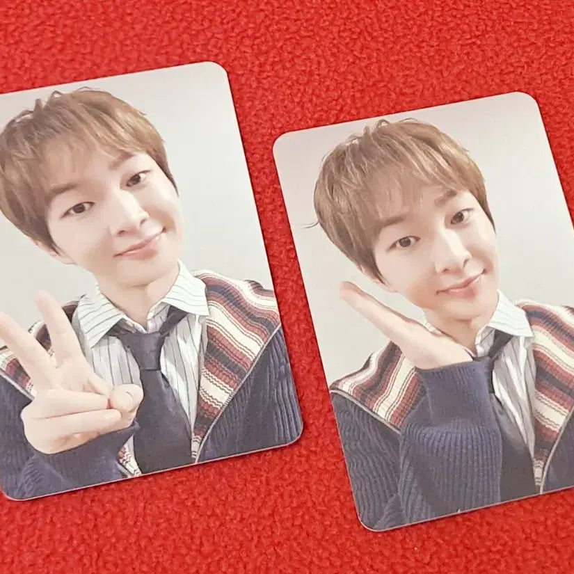 [BUNJANG] SHINee Onew "Starlight Night" Makestar Lucky Draw Photocard Set / 온유 터프러브 메이크스타 독서소년온유 미공포2장 set