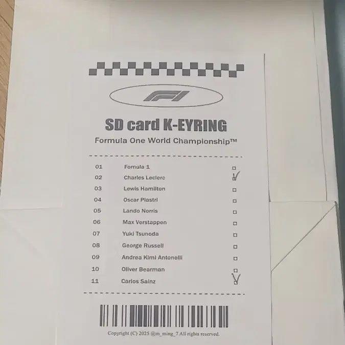 [BUNJANG] F1 Driver SD Card Keyring / F1 드라이버 SD카드 키링 판매
