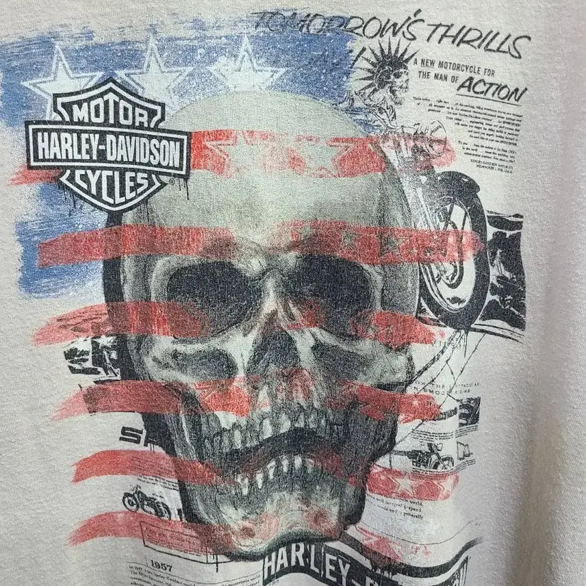 [BUNJANG] Harley-Davidson Vintage T-Shirt "American Flag Skull" / 성조기 입은 해골 할리데이비슨 반팔티