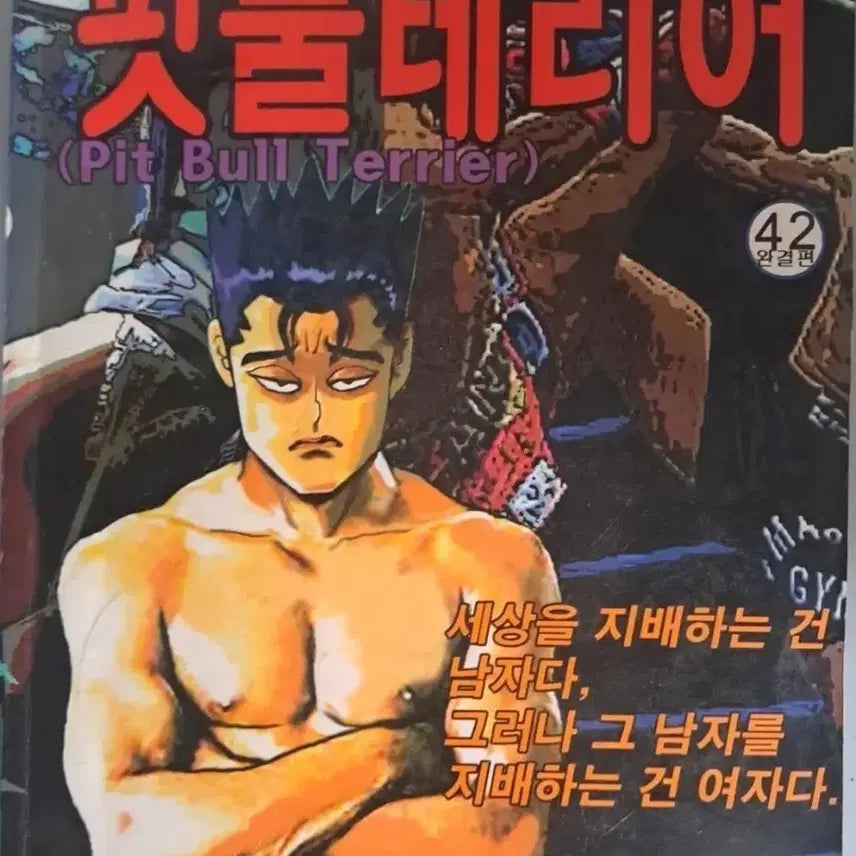 [BUNJANG] Ko Haeng Seok "The Intruder Series" Pitbull Terrier Complete Set Vol. 1-42 / 고행석 만화책 불청객 씨리즈 핏불 테리어 42권 완결작