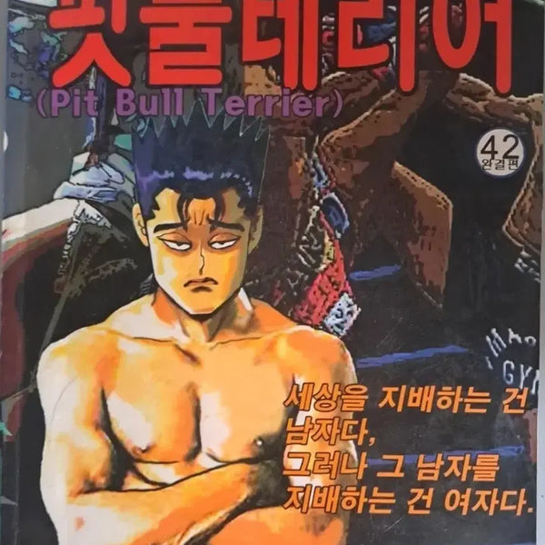 [BUNJANG] Ko Haeng Seok "The Intruder Series" Pitbull Terrier Complete Set Vol. 1-42 / 고행석 만화책 불청객 씨리즈 핏불 테리어 42권 완결작