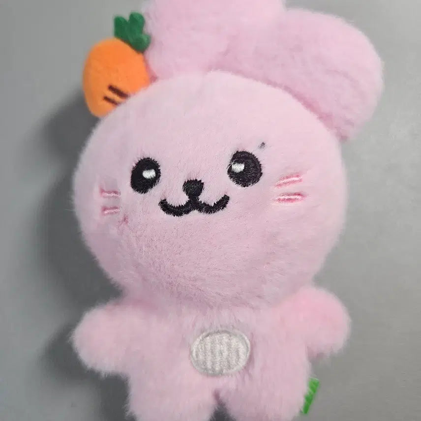 [BUNJANG] fromis_9 Jiwon 'Junie' Doll (Unsealed) / [ 개봉 ] 프로미스나인 인형 박지원 인형 쥬니 인형 판매