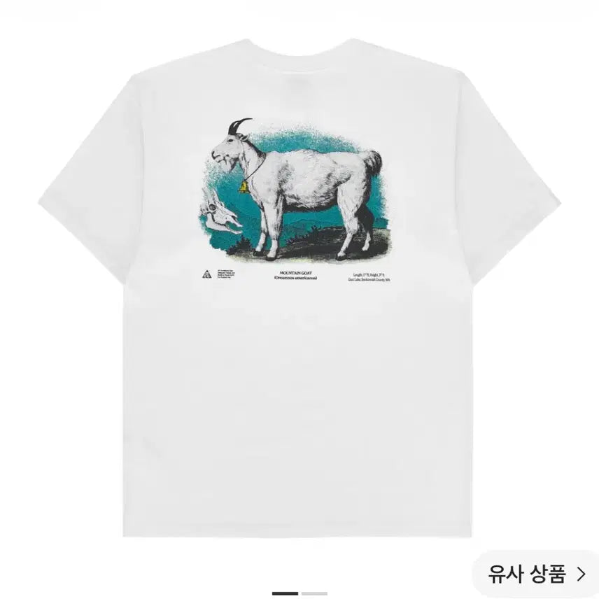 [BUNJANG] Nike ACG Dri-FIT T-Shirt (M) - New / 나이키 acg 드라이핏 반팔티 m 새상품 2장
