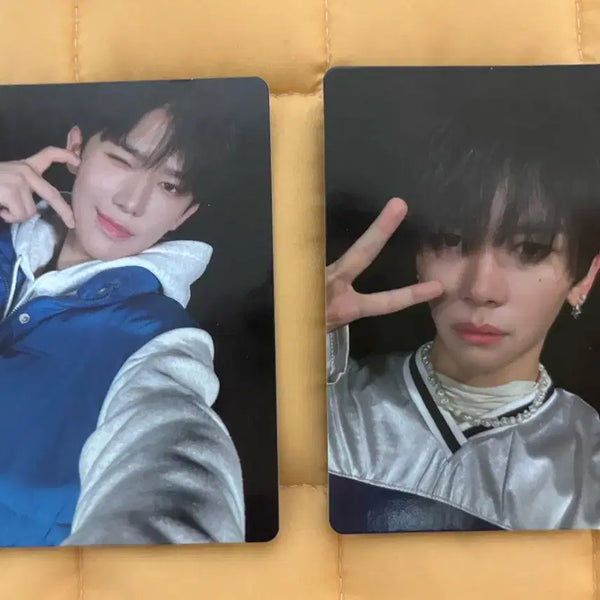 [BUNJANG] Project7 Ichen Zhao Guangxu (Linlin) Photocard / 프로젝트7 프젝 이첸 린린 자오광쉬 포카