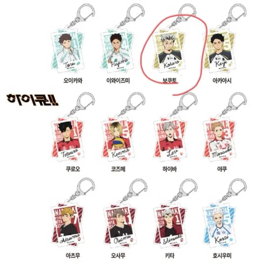 [BUNJANG] Haikyuu!! Kotaro Bokuto Trading Acrylic Charm / 하이큐 트레이딩 아크릴 키링 보쿠토 코타로 (+아크릴 키체인)