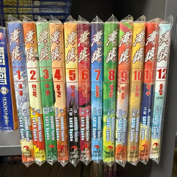 [BUNJANG] Haewon Complete Manga Series Volumes 1-12 / 해원 만화책 1~12권(개인소장용)