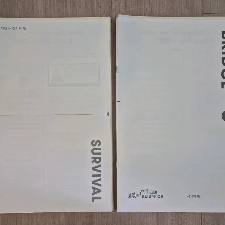 [BUNJANG] 2025 Political Science and Law Mock Exams - Sadae Injae (26 Papers) / 2025 정치와법 모의고사 시대인재 정법 모의고사 [26회분]