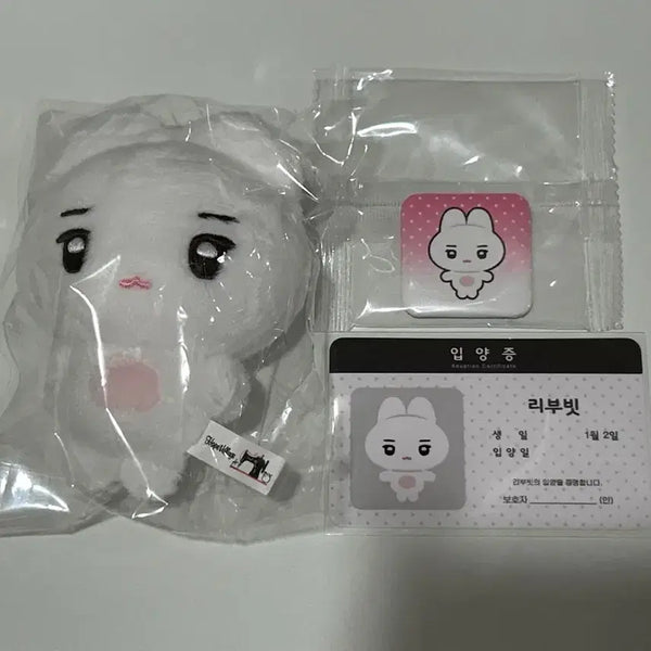 [BUNJANG] BOYS PLANET Flare U Choi Libin Doll Ribbit / 보이즈플래닛 플레어유 최립우 인형 리부빗