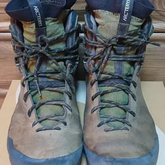 [BUNJANG] Arc'teryx Leather GTX 280mm Hiking Boots / 아크테릭스 레더 GTX (280mm)
