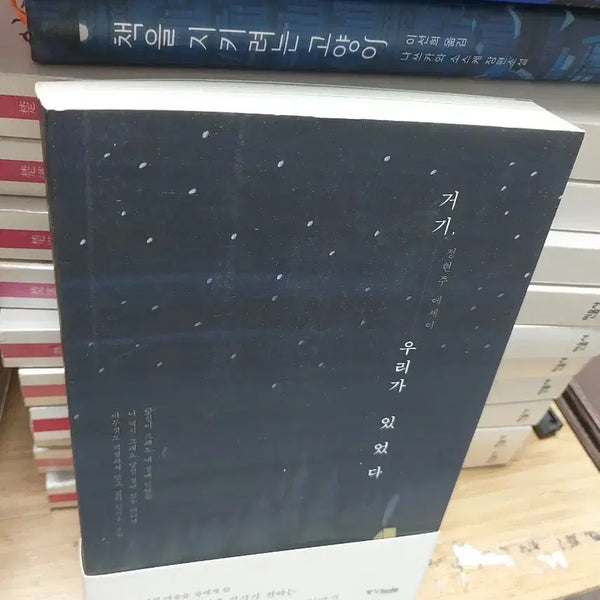 [BUNJANG] Jeong Hyeon-ju "There We Were" Essay / 정현주 거기, 우리가 있었다 에세이