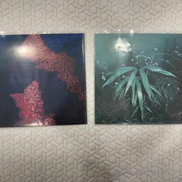 [BUNJANG] Shin Hae-Kyung 'My Reversible Reaction' Limited Edition LP / 신해경 나의 가역반응 lp 서레페 초판