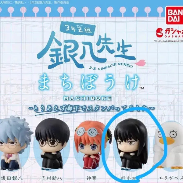 [BUNJANG] Gintama Gintoki Kagura Gintoki Figure / 은혼 긴파치선생 마치보케 가챠 카츠라
