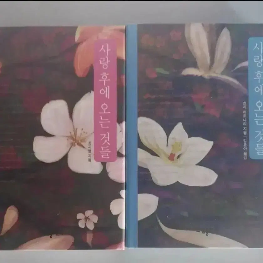 [BUNJANG] What Comes After Love: Volume 2 Book Bundle / 소설책 사랑한후에 오는것들 2권 일괄