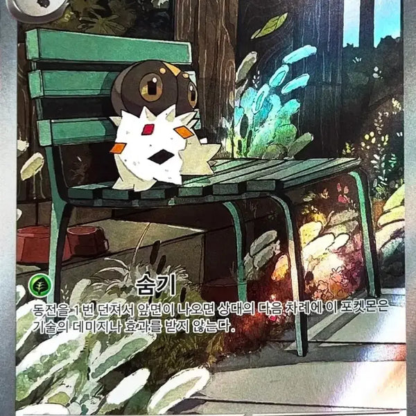 [BUNJANG] Pokemon Card Bunttodori AR / [!!당일발송!!] 분떠도리 AR