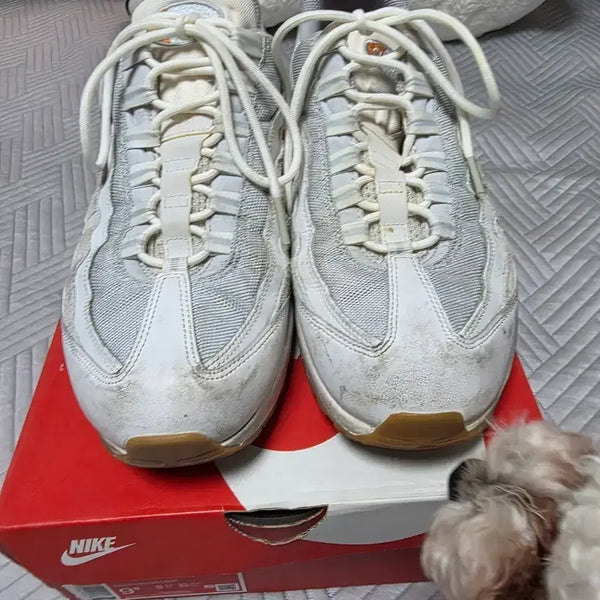 [BUNJANG] Nike Air Max 95 Sneakers / 나이키 에어맥스95 275