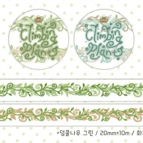 [BUNJANG] Jiyum Vine Green Washi Tape / [지윰] 덩쿨나무 그린 마테띵