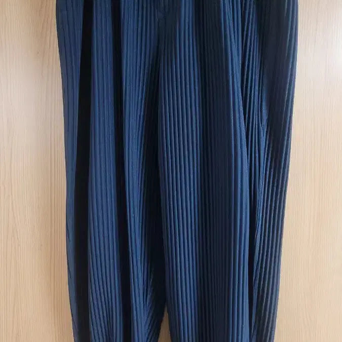 [BUNJANG] Homme Plissé ISSEY MIYAKE JF143 Baggy Pants / 옴므플리세 배기 바지 jf143