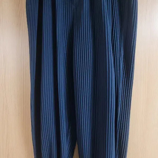 [BUNJANG] Homme Plissé ISSEY MIYAKE JF143 Baggy Pants / 옴므플리세 배기 바지 jf143