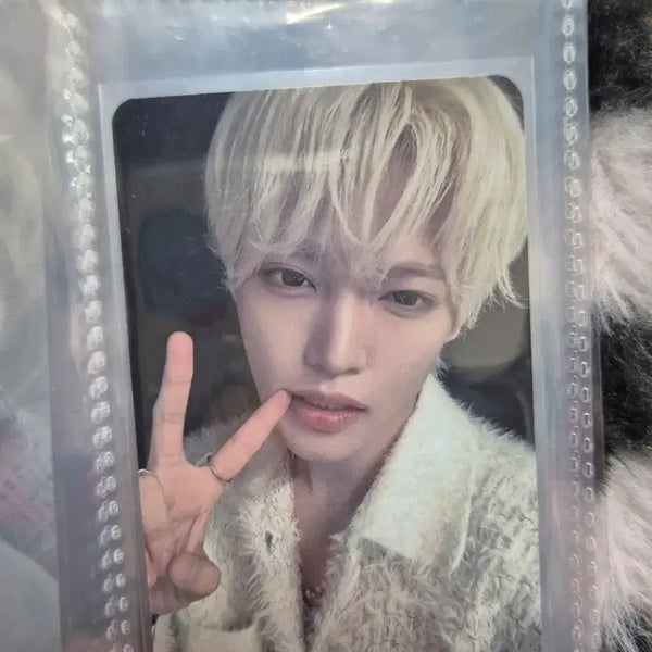 [BUNJANG] Zhang Han Yun Japan Fan Meeting MD Photocard / 장한음 일본 팬미팅 엠디 포카