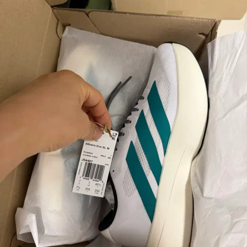 [BUNJANG] Adidas Adizero EVO SL Cloud White / Pure Teal Shoes / 아디다스 아디제로 EVO SL 클라우드 화이트 퓨어 틸