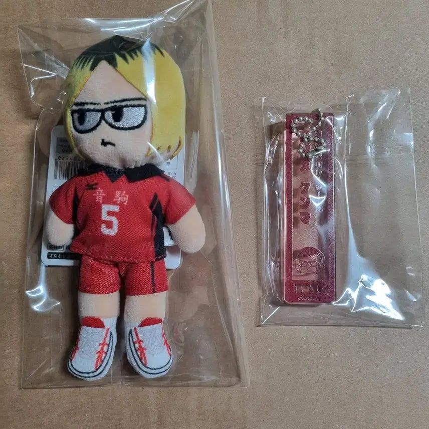 [BUNJANG] Haikyuu!! Kenma Kozume Jirori Plush + Acrylic Keyring Set / 하이큐 코즈메 켄마 지로리 인형 + 아크릴 키링 세트