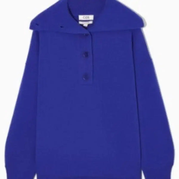 [BUNJANG] COS 100% Cashmere Spread Collar Sweater Blue L / COS 100% 캐시미어 스프레드 칼라 스웨터 블루 L