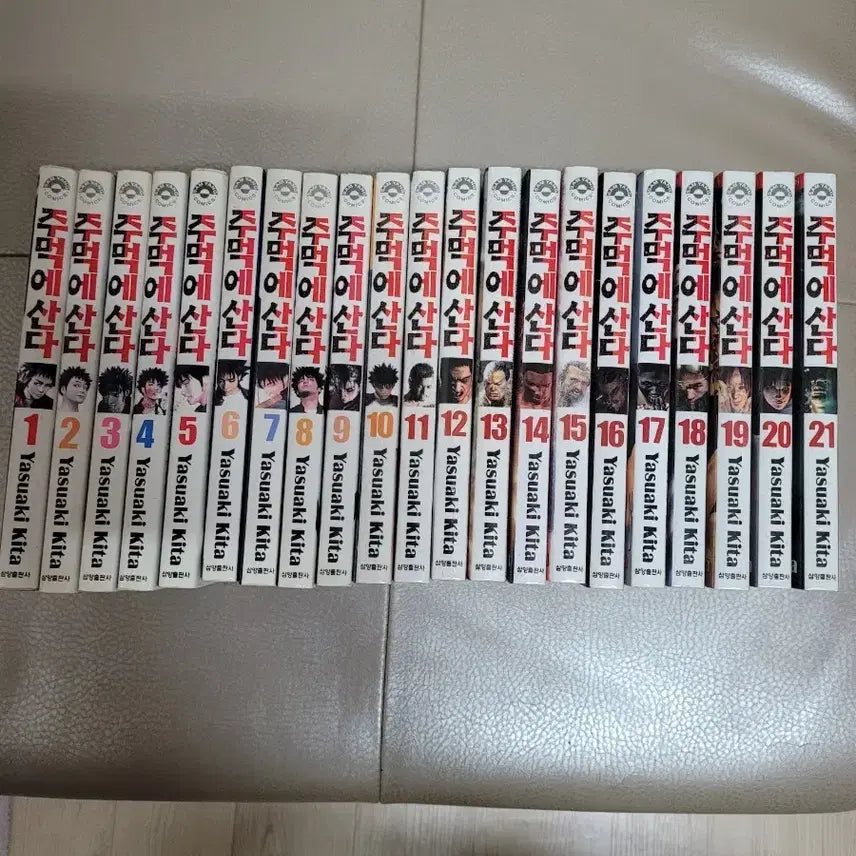 [BUNJANG] To Live with a Fist Complete Set (Volumes 1-21) / 주먹에 산다 전권 (1-21권) 세트